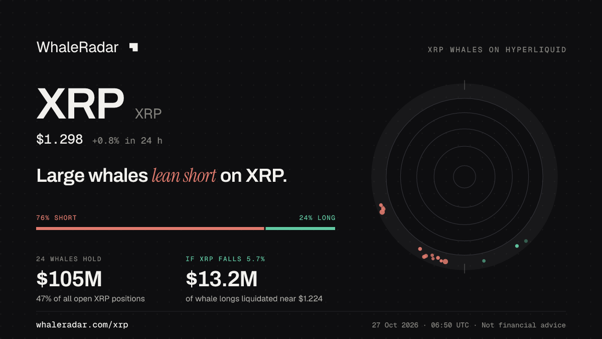 XRP 공유 카드: 대형 고래, XRP 숏 우세.