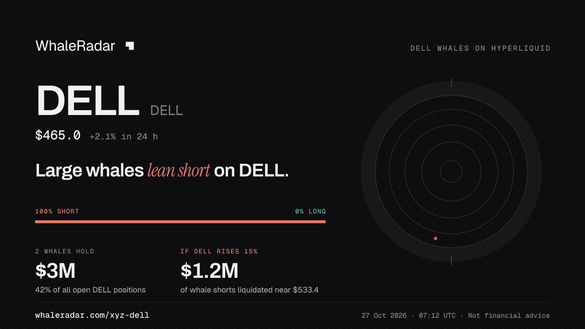 DELL 공유 카드: 대형 고래, DELL 숏 우세.