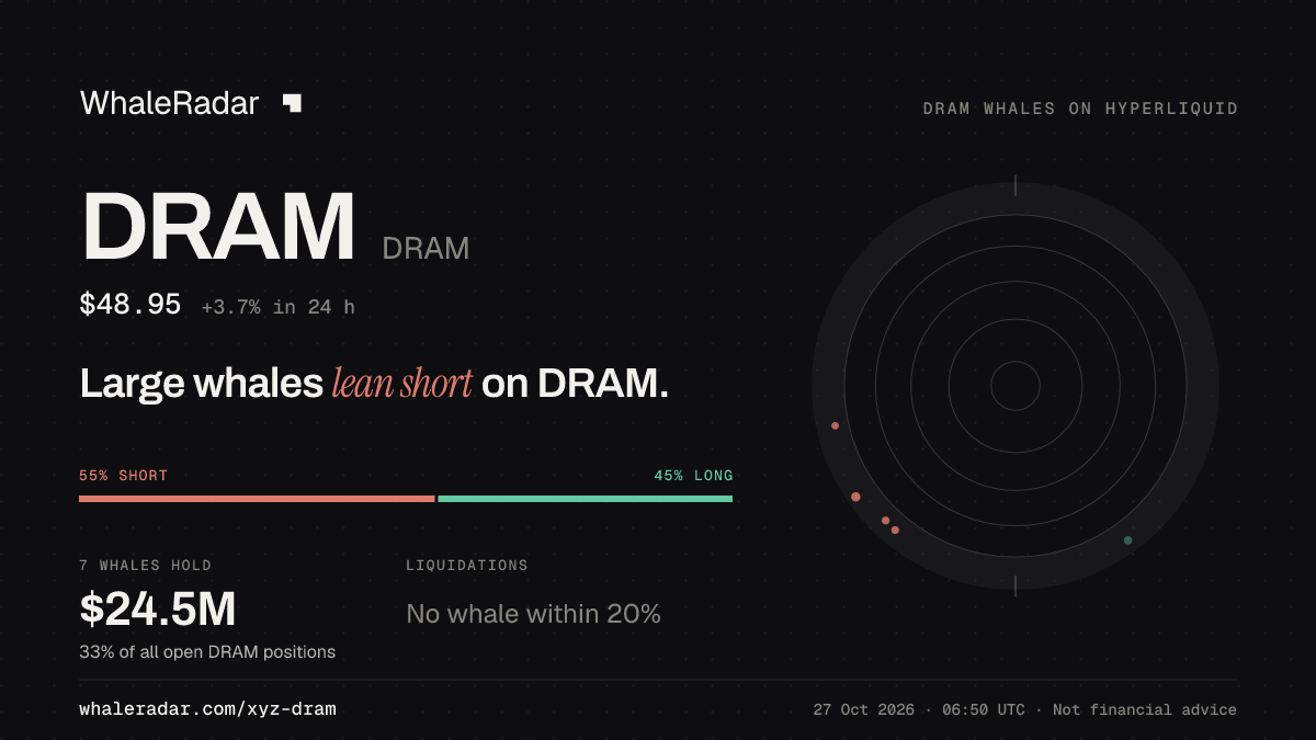 DRAM 공유 카드: 대형 고래, DRAM 숏 우세.