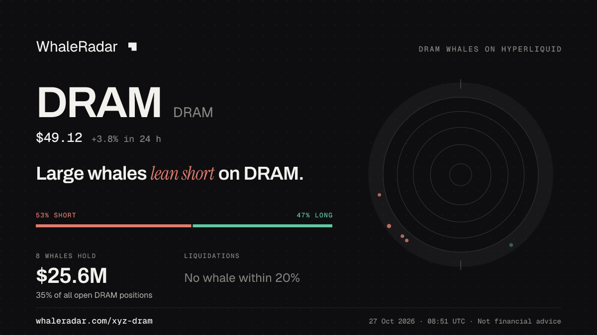 DRAM 공유 카드: 대형 고래, DRAM 숏 우세.