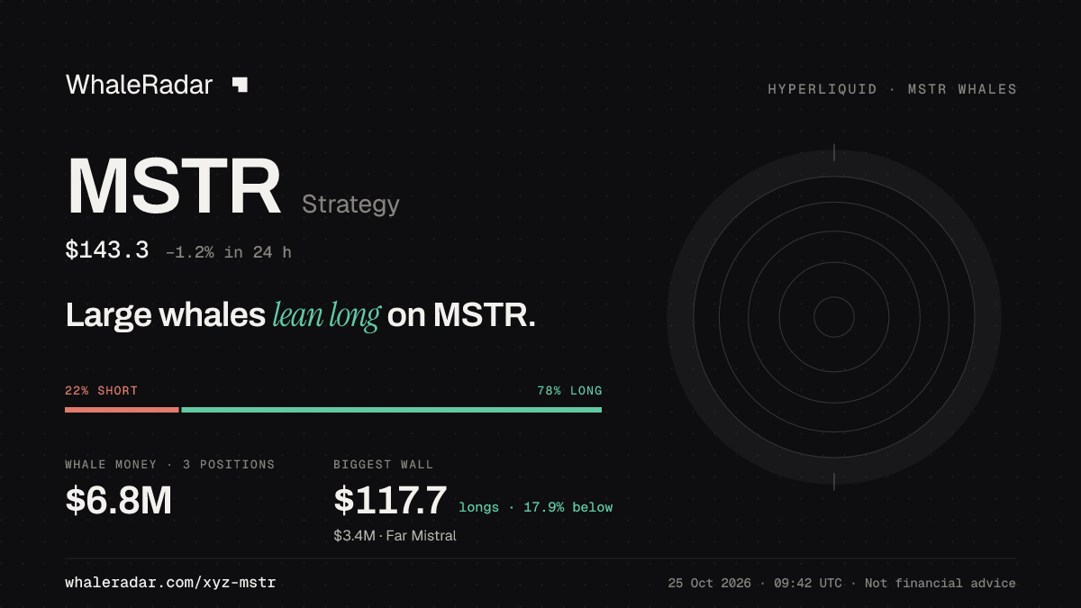 Share card for MSTR: Large whales lean long on MSTR.