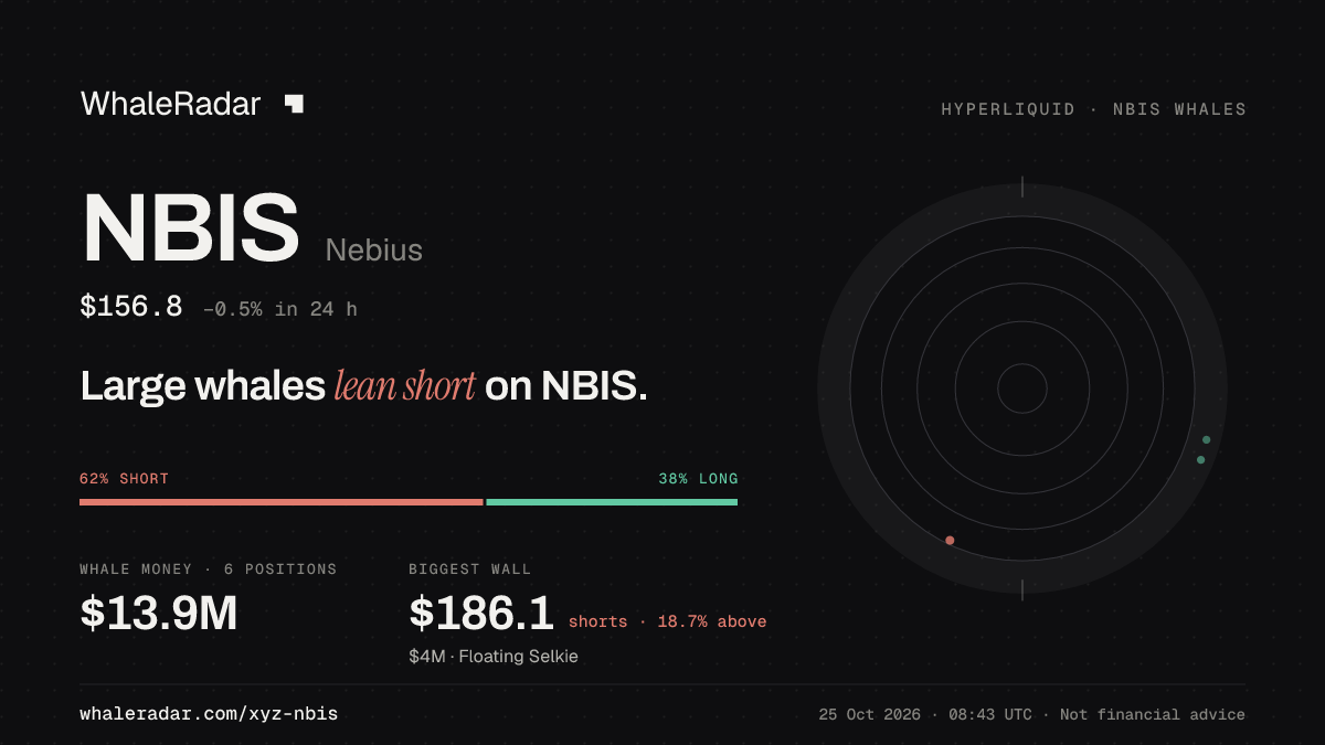 Share card for NBIS: Large whales lean short on NBIS.