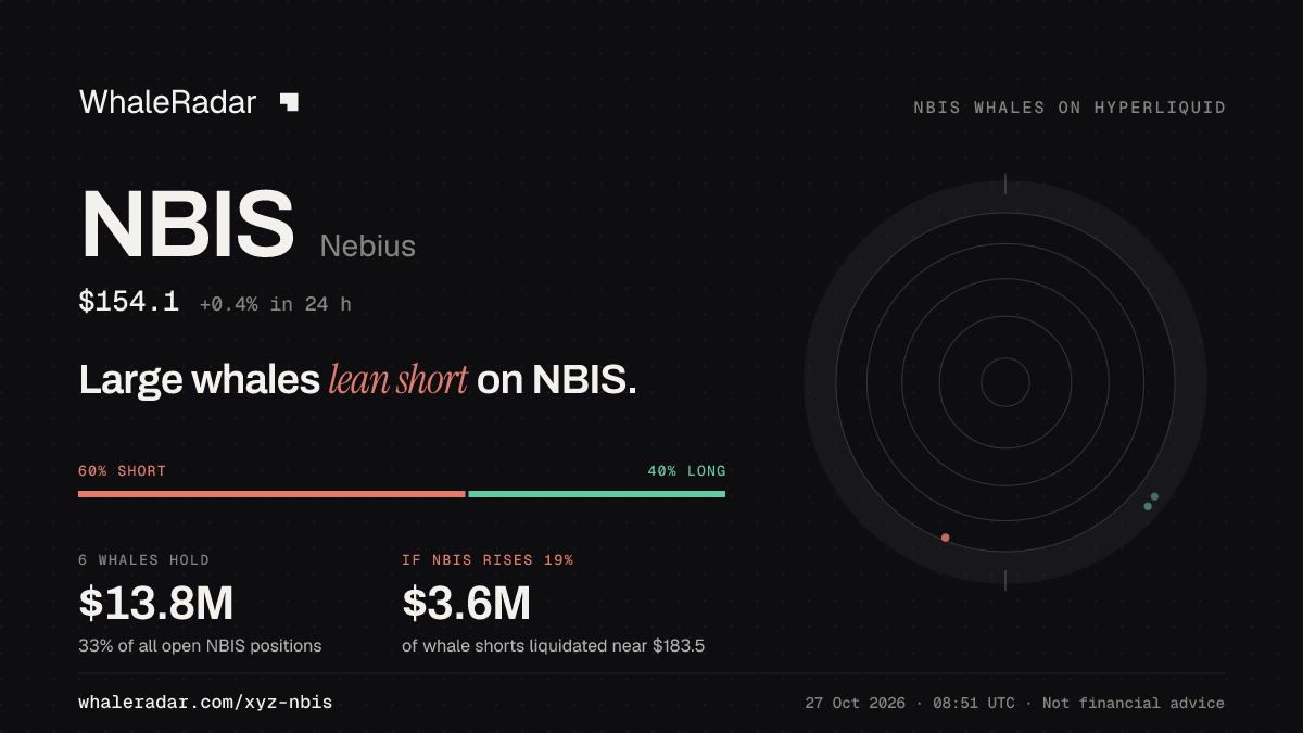 Share card for NBIS: Large whales lean short on NBIS.