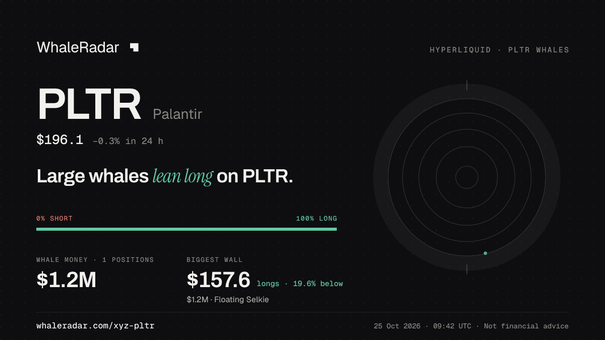 Share card for PLTR: Large whales lean long on PLTR.