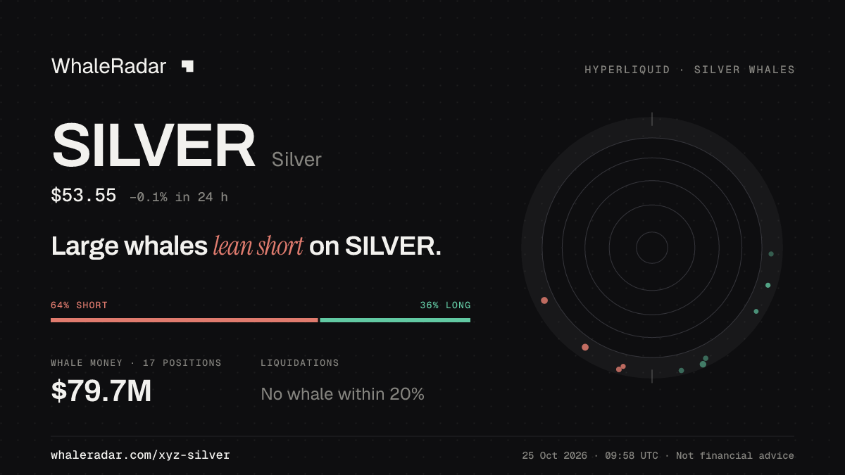 Share card for SILVER: Large whales lean short on SILVER.