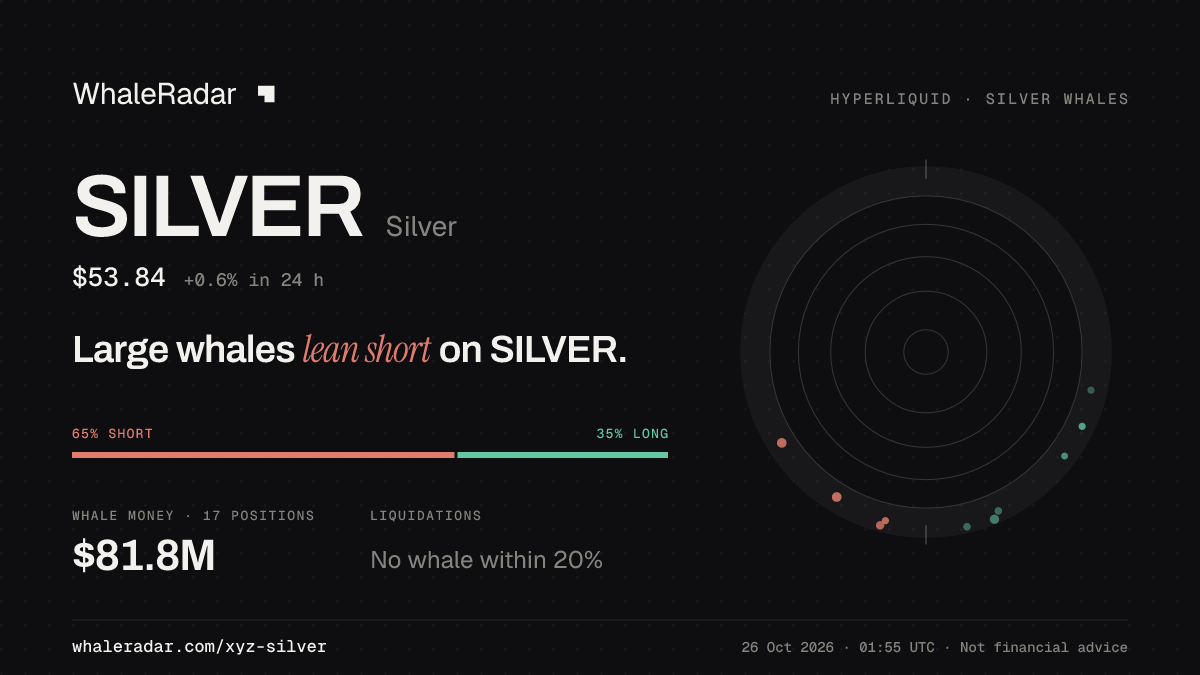 SILVER 分享卡片:大户整体偏空 SILVER。