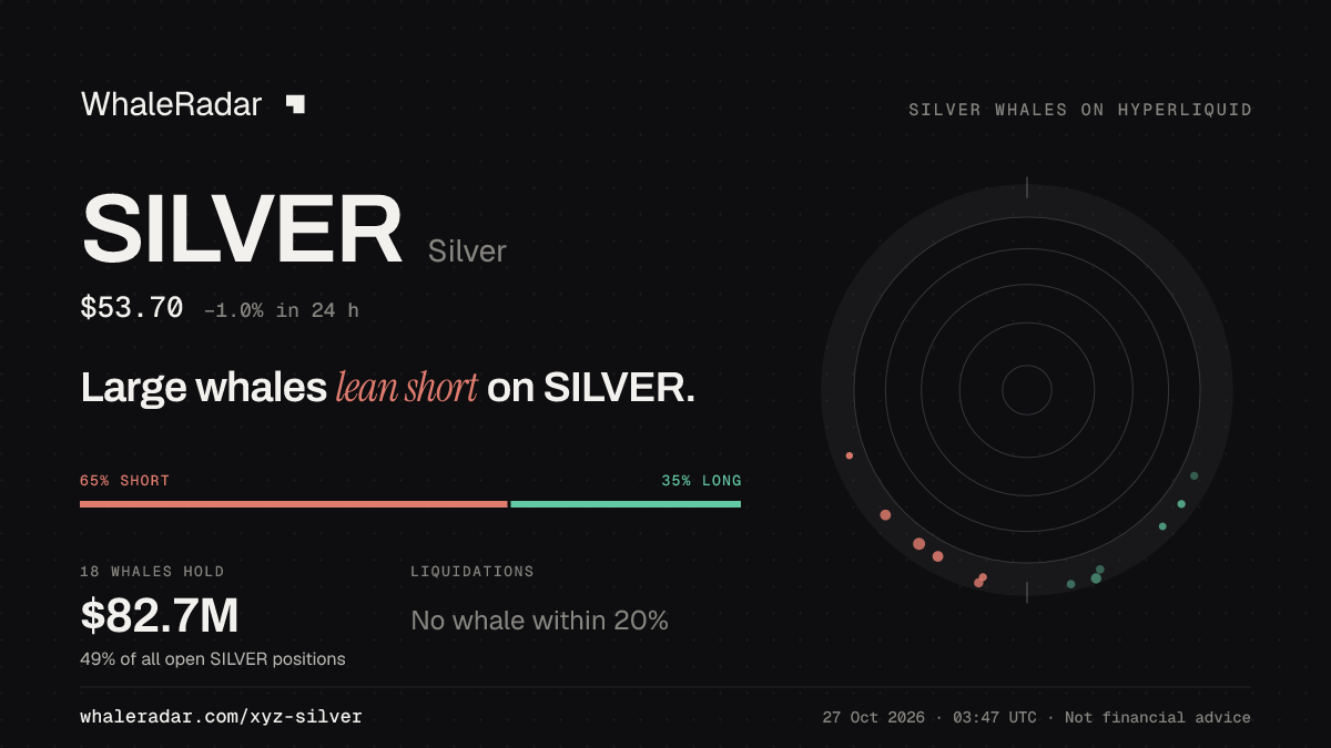 Share card for SILVER: Large whales lean short on SILVER.