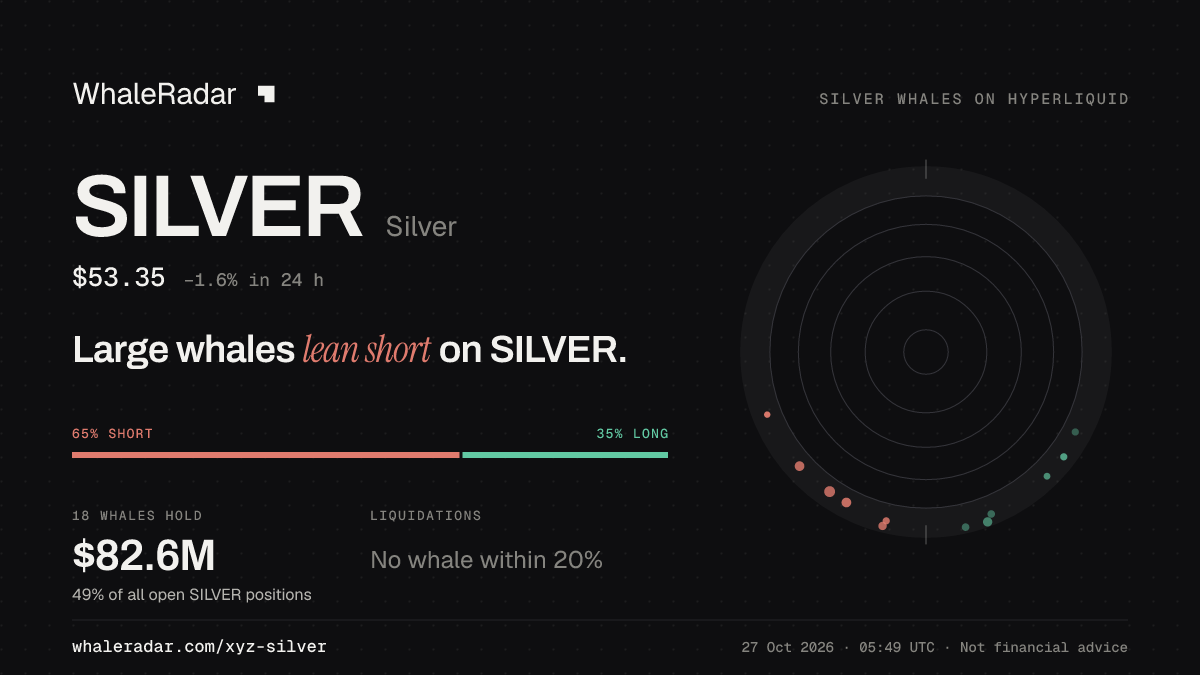SILVER 공유 카드: 대형 고래, SILVER 숏 우세.