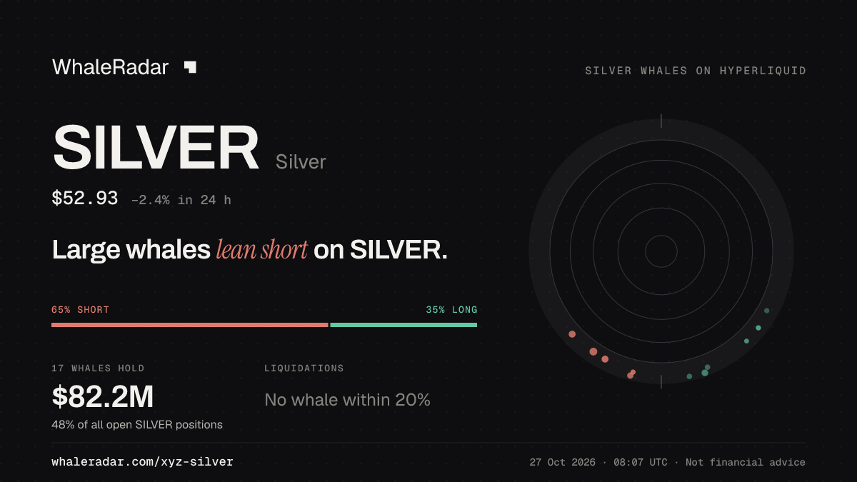 Share card for SILVER: Large whales lean short on SILVER.