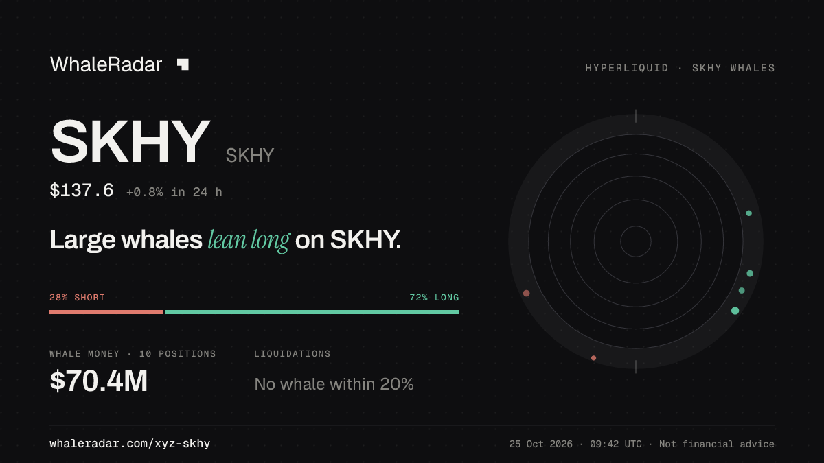 SKHY 分享卡片:大户整体偏多 SKHY。