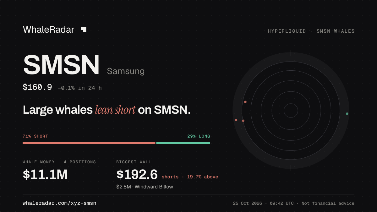 SMSN 分享卡片:大户整体偏空 SMSN。
