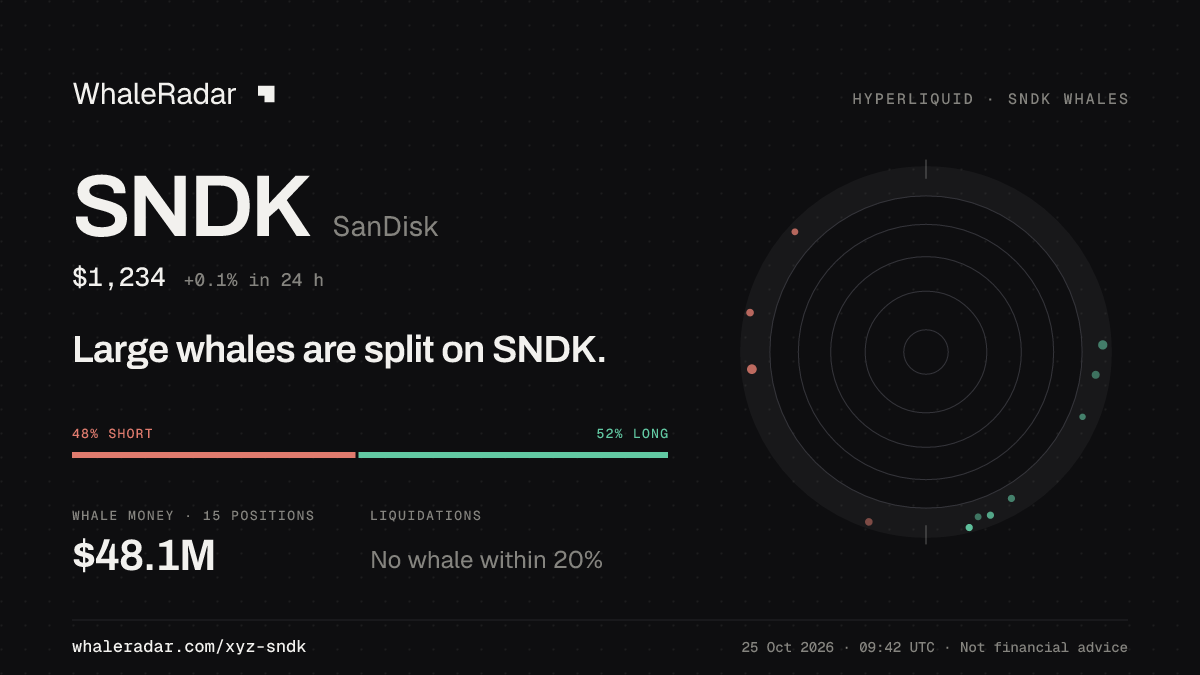 SNDK 分享卡片:大户在 SNDK 上多空分歧。