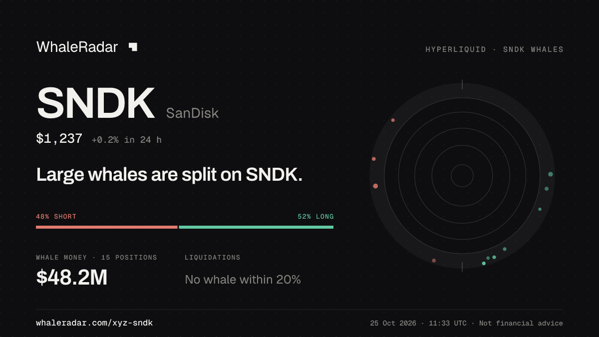Share card for SNDK: Large whales are split on SNDK.