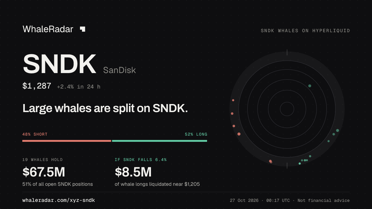 Share card for SNDK: Large whales are split on SNDK.