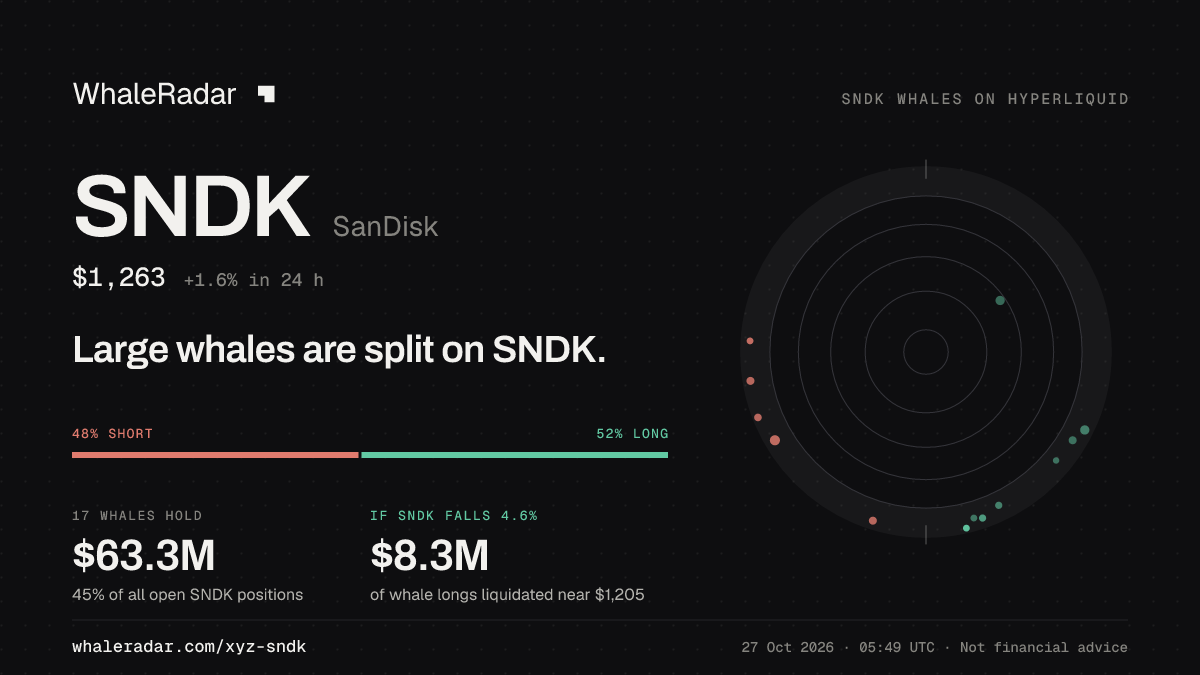 SNDK 공유 카드: 대형 고래, SNDK 롱·숏 팽팽.