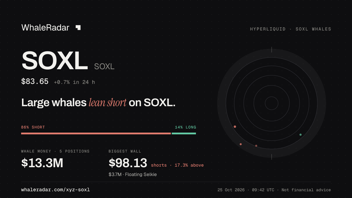SOXL 分享卡片:大户整体偏空 SOXL。
