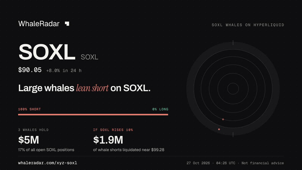 SOXL 공유 카드: 대형 고래, SOXL 숏 우세.