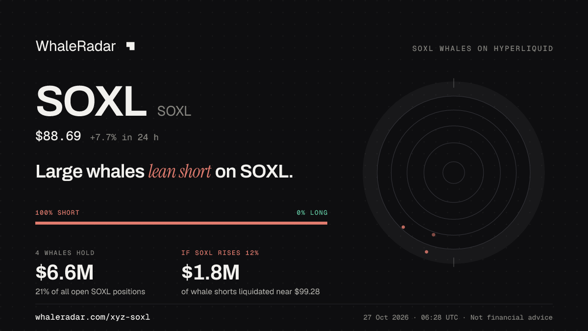 SOXL 공유 카드: 대형 고래, SOXL 숏 우세.