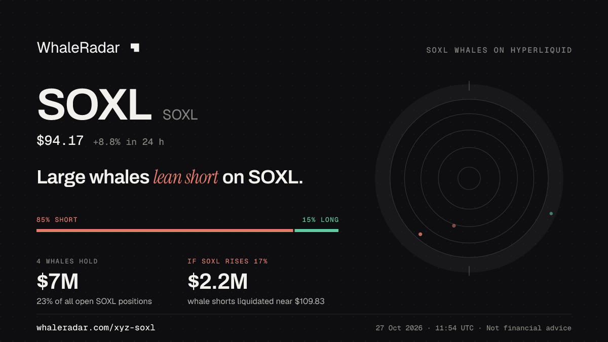 SOXL 공유 카드: 대형 고래, SOXL 숏 우세.
