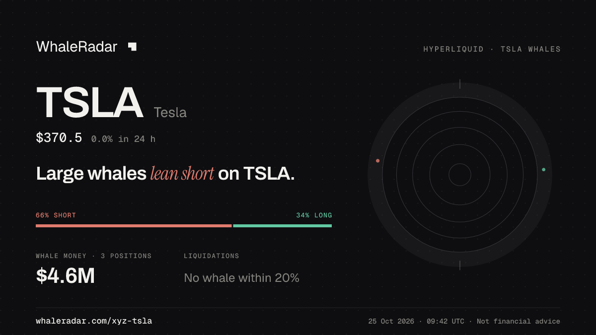 Share card for TSLA: Large whales lean short on TSLA.