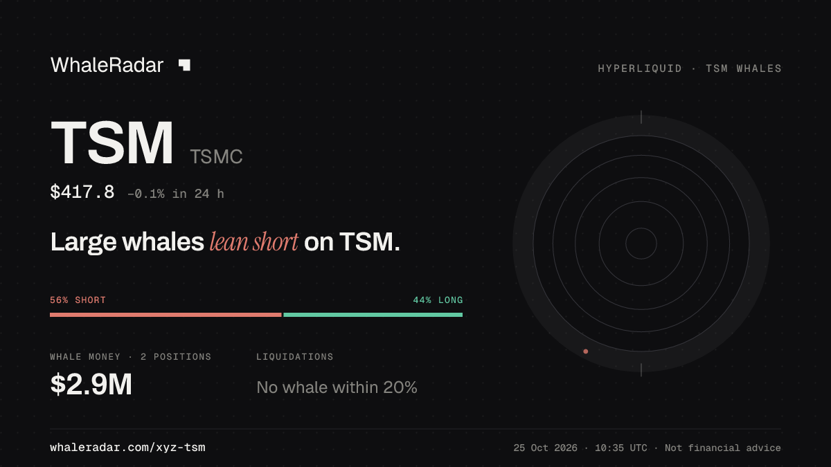 TSM 分享卡片:大户整体偏空 TSM。