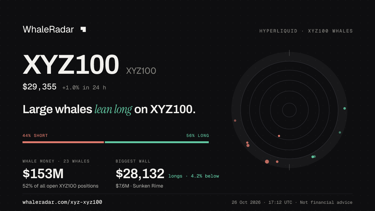 XYZ100 分享卡片:大户整体偏多 XYZ100。