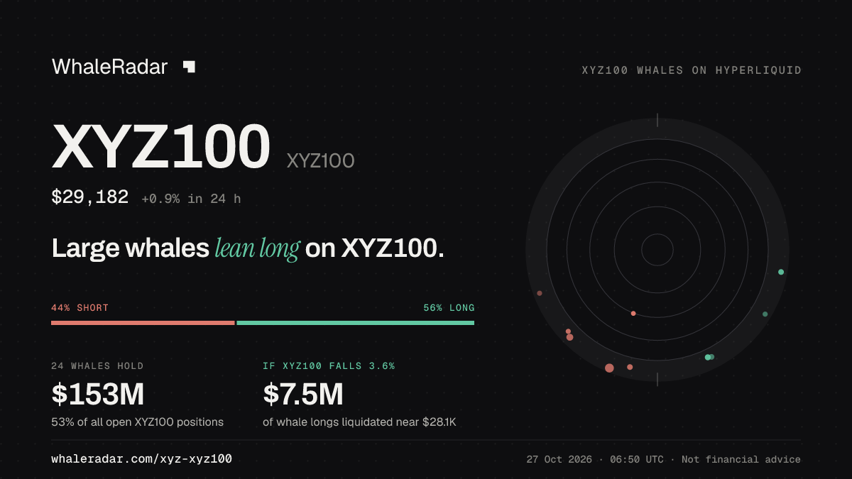 XYZ100 공유 카드: 대형 고래, XYZ100 롱 우세.