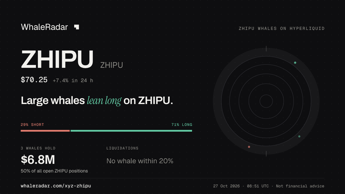 ZHIPU 공유 카드: 대형 고래, ZHIPU 롱 우세.