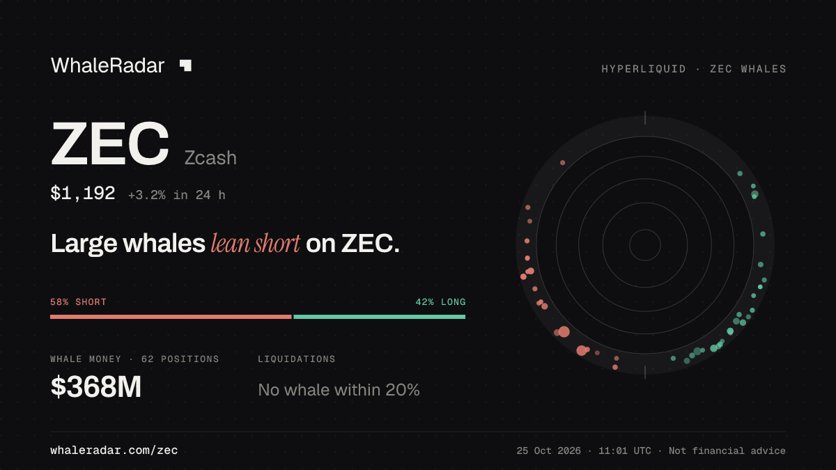 Share card for ZEC: Large whales lean short on ZEC.