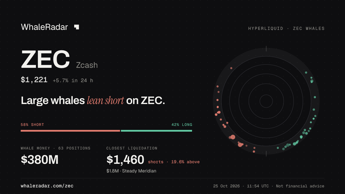 Share card for ZEC: Large whales lean short on ZEC.