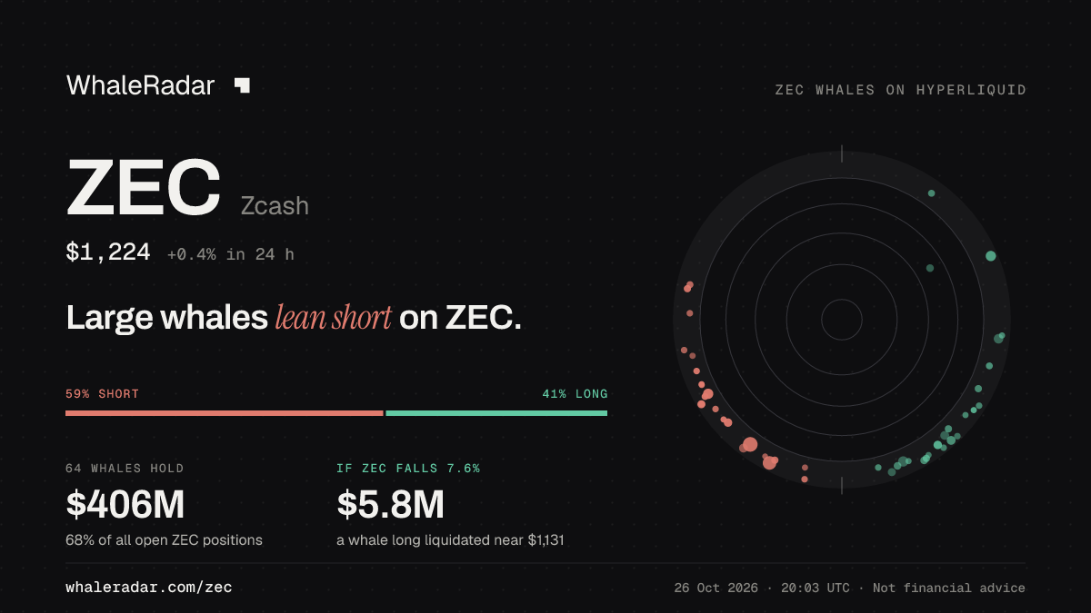 Share card for ZEC: Large whales lean short on ZEC.