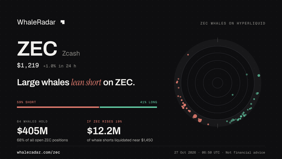 ZEC 공유 카드: 대형 고래, ZEC 숏 우세.