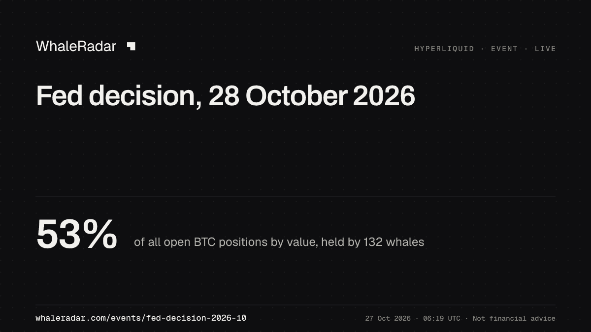 S&P 500 공유 카드: 지금 고래 포지션의 위치