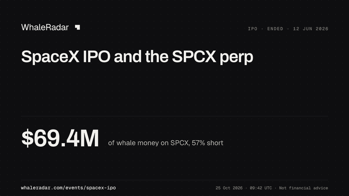 SPCX 分享卡片:大户当前的持仓位置