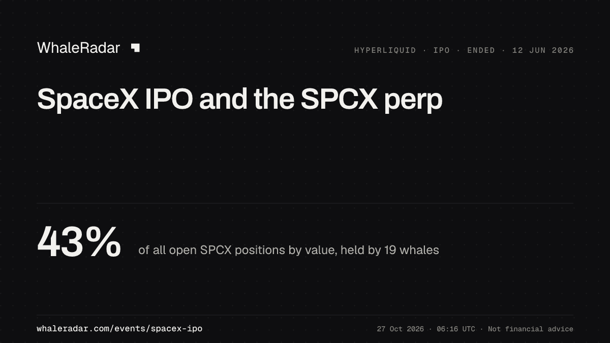 SPCX 공유 카드: 지금 고래 포지션의 위치