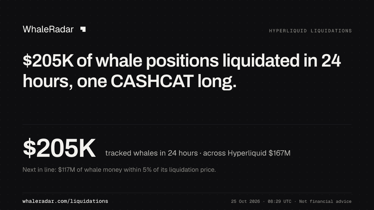 $205K of whale positions liquidated in 24 hours, one CASHCAT long.