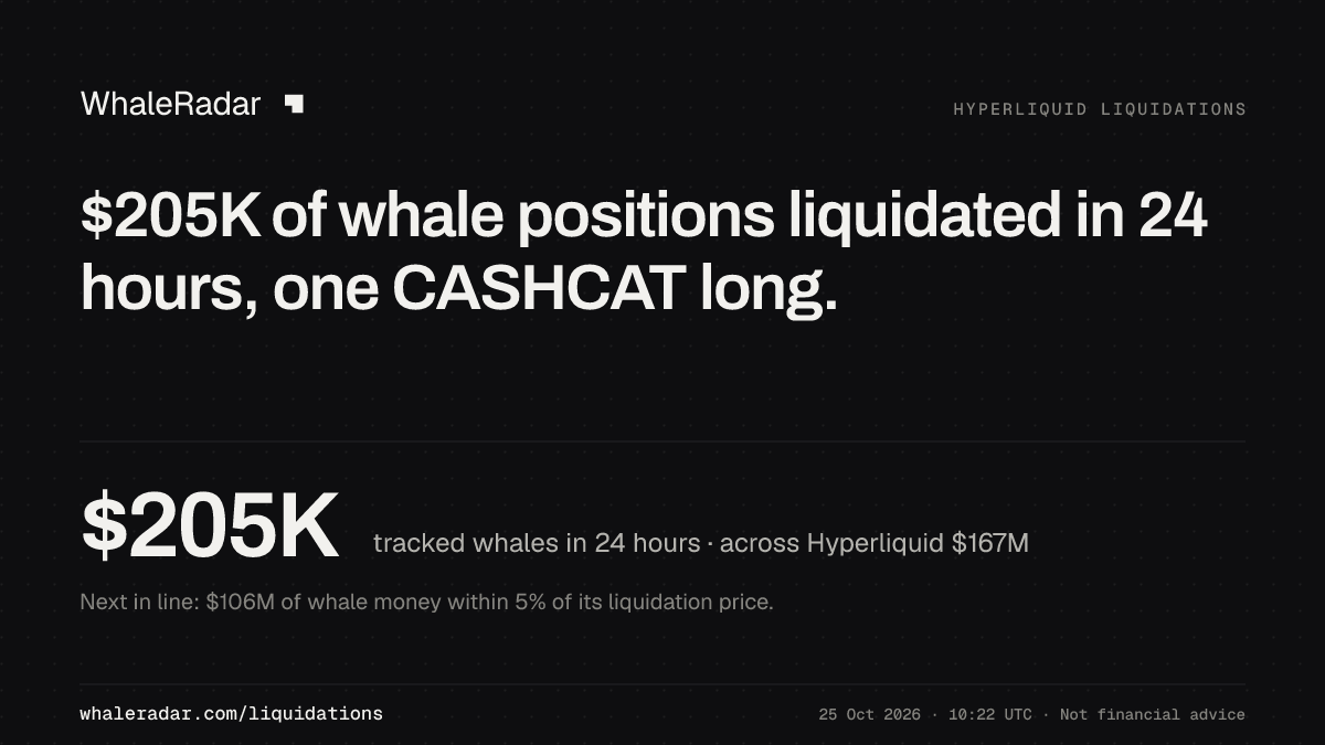 过去 24 小时,被追踪的巨鲸仓位爆仓 21 万美元,是一笔 CASHCAT 多单。