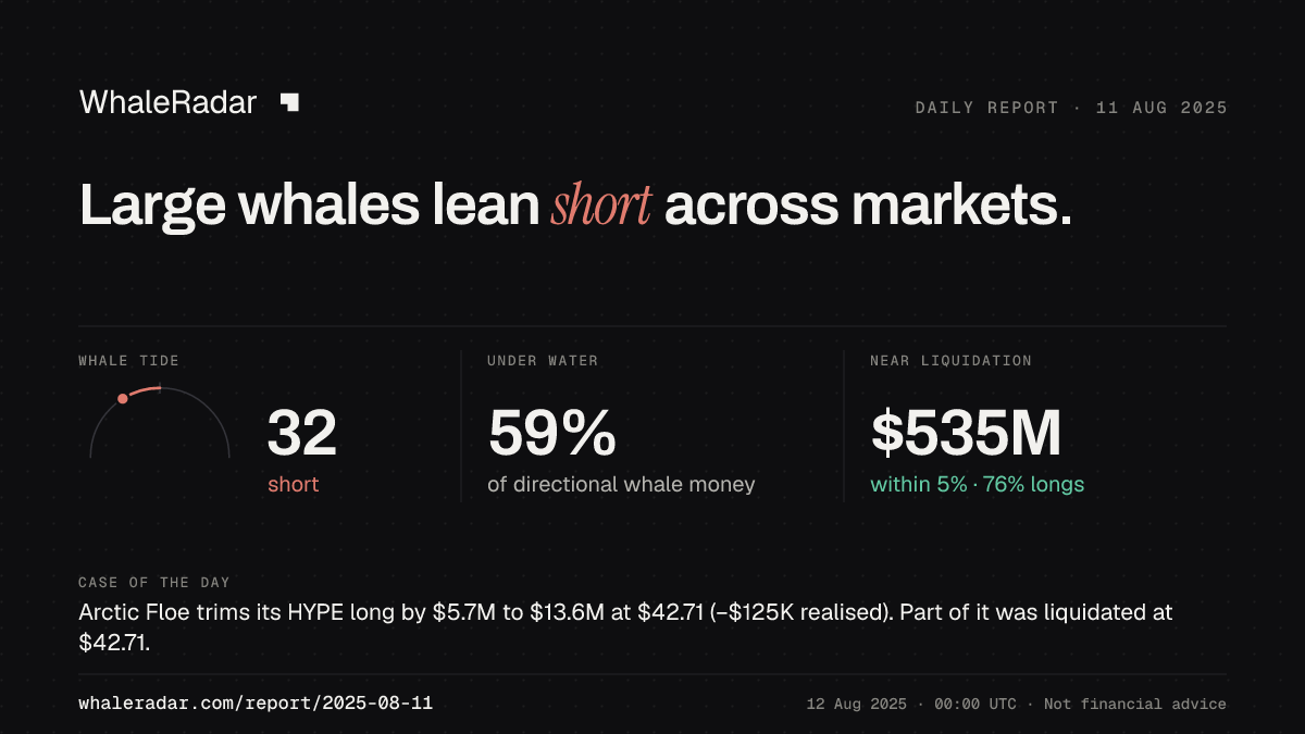 Share card for the report of 2025-08-11: Large whales lean short across markets.