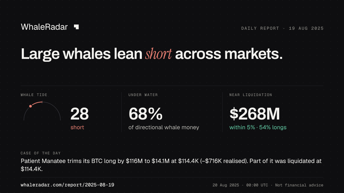 Share card for the report of 2025-08-19: Large whales lean short across markets.