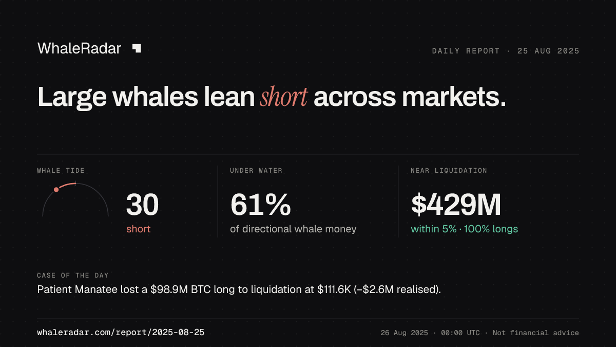 Share card for the report of 2025-08-25: Large whales lean short across markets.