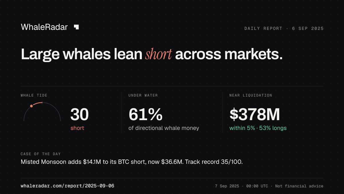 Share card for the report of 2025-09-06: Large whales lean short across markets.