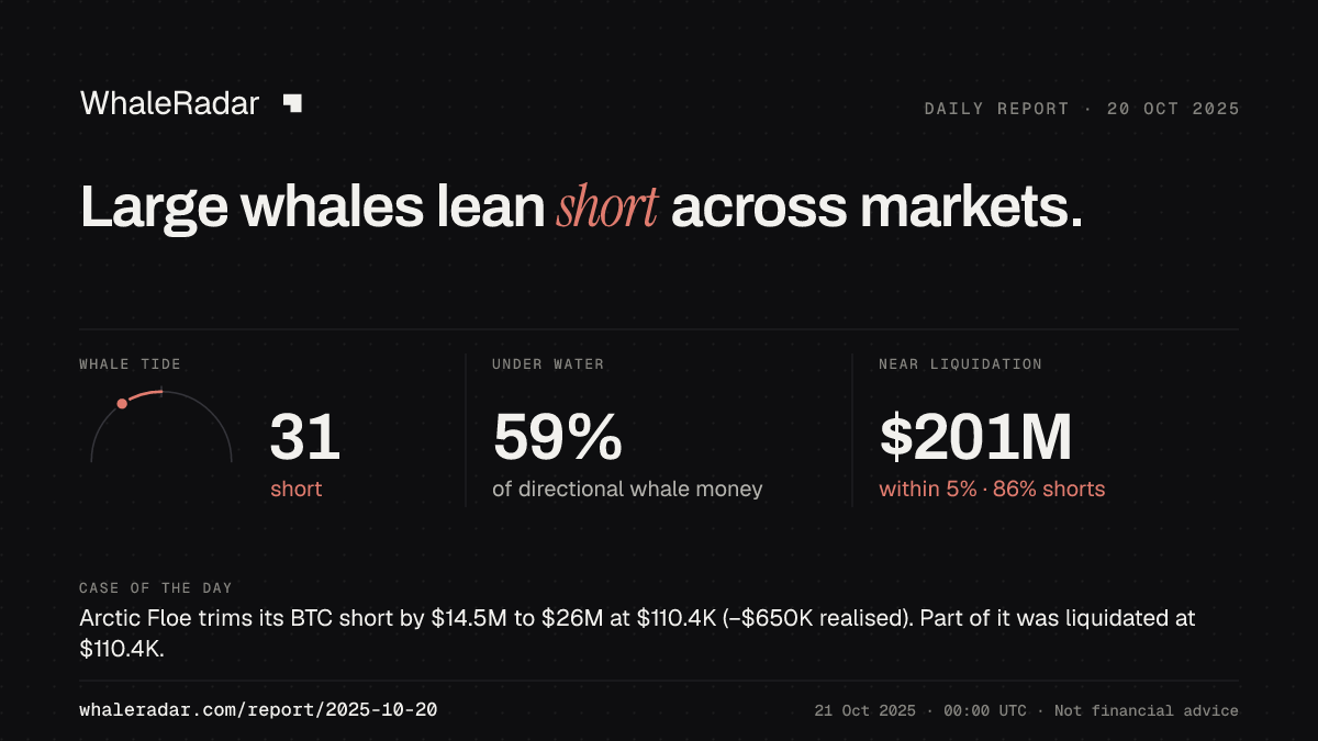 Share card for the report of 2025-10-20: Large whales lean short across markets.
