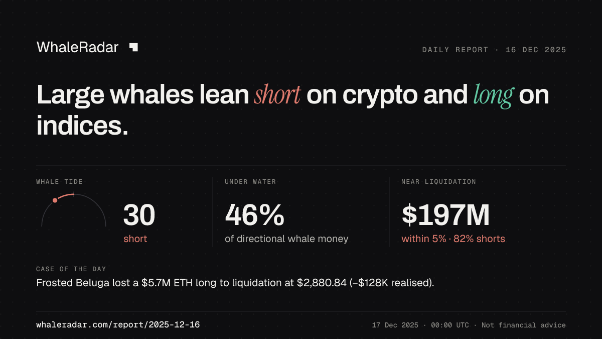 Share card for the report of 2025-12-16: Large whales lean short on crypto and long on indices.