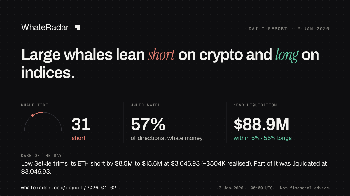 Share card for the report of 2026-01-02: Large whales lean short on crypto and long on indices.