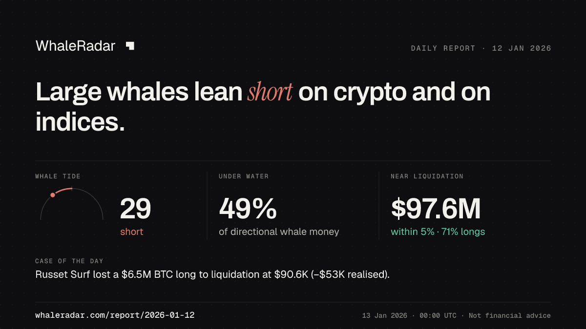 Share card for the report of 2026-01-12: Large whales lean short on crypto and on indices.