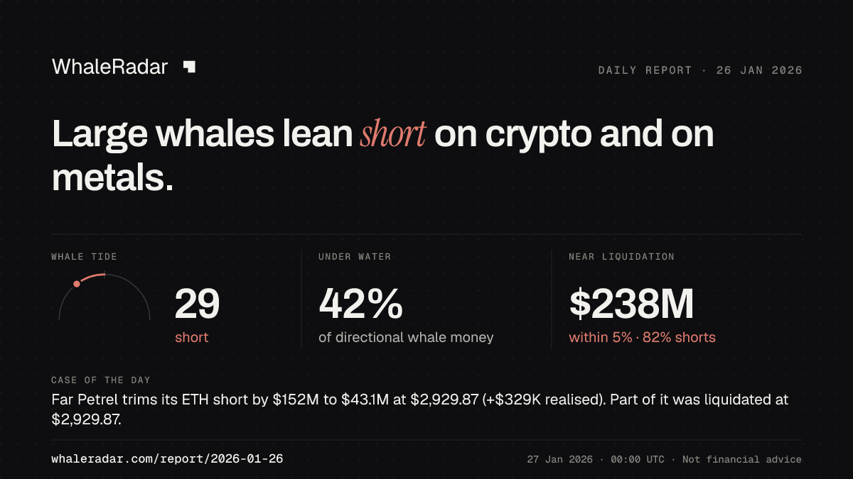 Share card for the report of 2026-01-26: Large whales lean short on crypto and on metals.