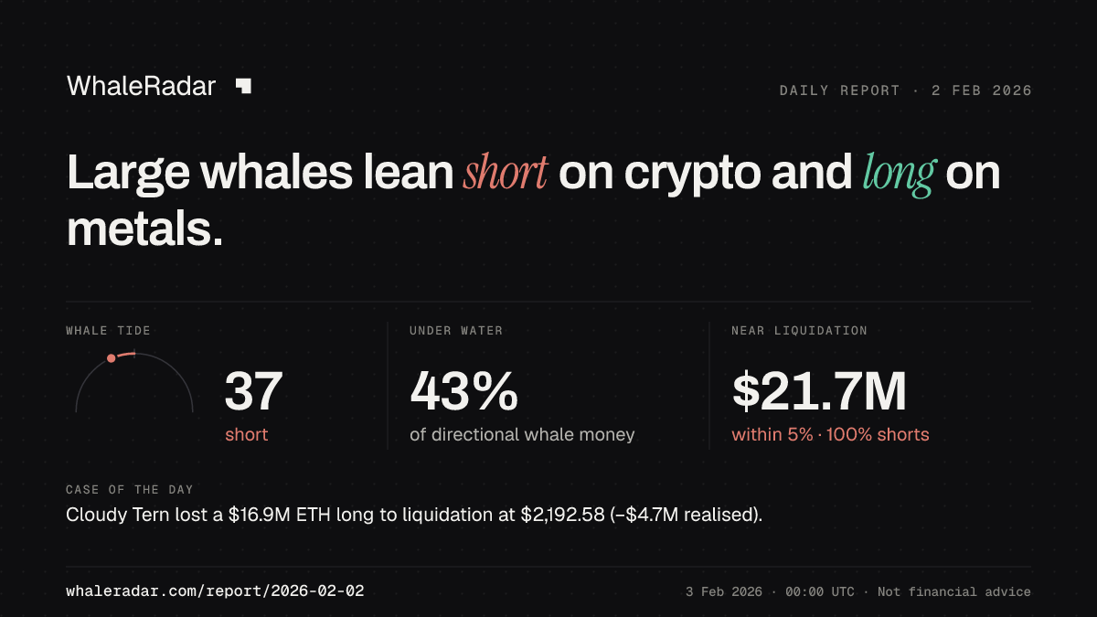 Share card for the report of 2026-02-02: Large whales lean short on crypto and long on metals.