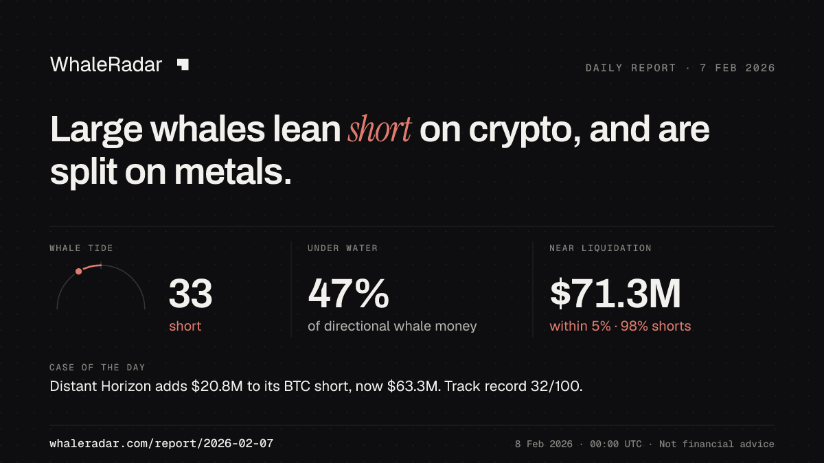Share card for the report of 2026-02-07: Large whales lean short on crypto, and are split on metals.