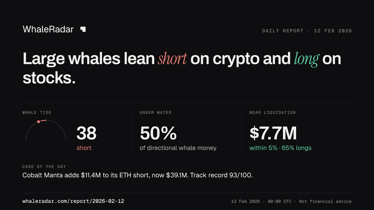Share card for the report of 2026-02-12: Large whales lean short on crypto and long on stocks.