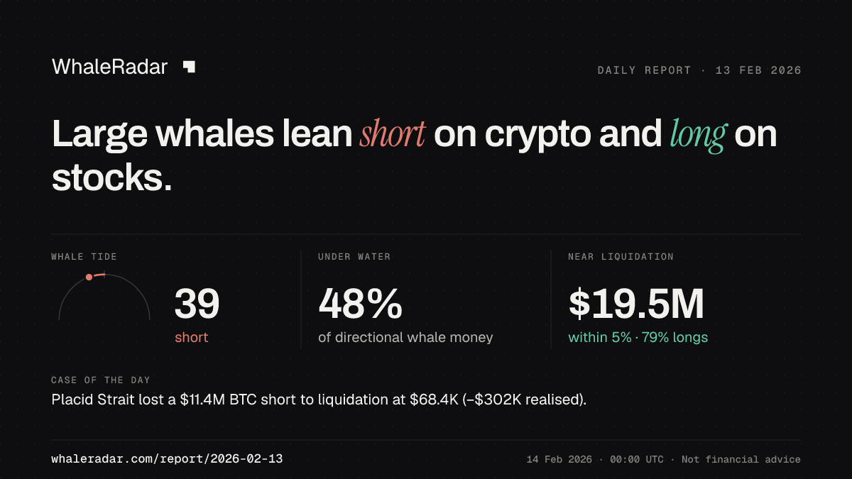 Share card for the report of 2026-02-13: Large whales lean short on crypto and long on stocks.